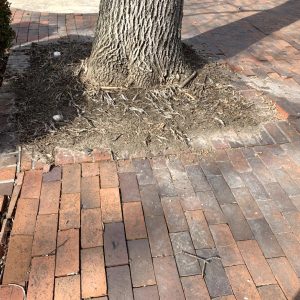 Hardscaping - Brick Patio 2