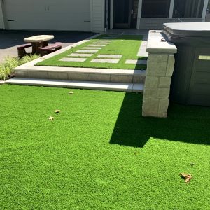 Hardscaping - Turf 1