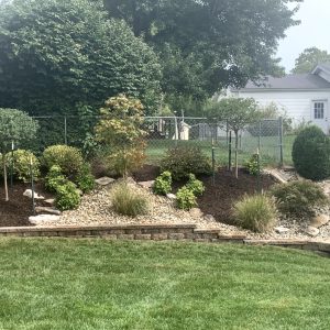 Landscaping - Back Yard 3