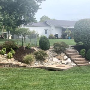 Landscaping - Back Yard 4