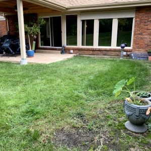 Landscaping - Backyard Before 1