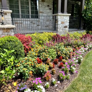 Landscaping - Front Garden 1