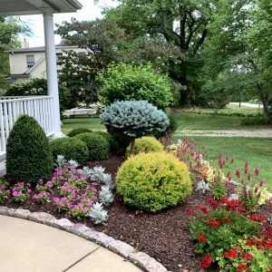 Landscaping - Front Garden 11