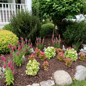 Landscaping - Front Garden 13