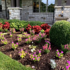 Landscaping - Front Garden 16