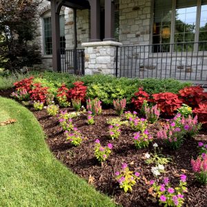 Landscaping - Front Garden 17