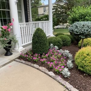 Landscaping - Front Garden 5