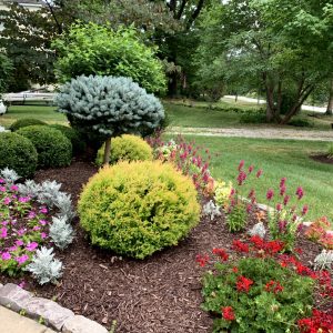 Landscaping - Front Garden 6