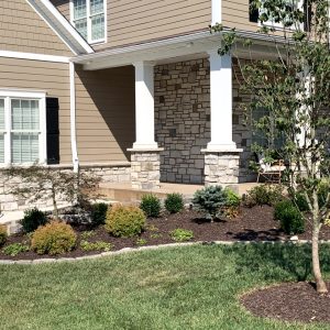 Landscaping - Front Yard 7